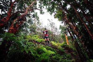 BIB: 
                            <button type="button" onclick="openModal(26201720)" class="btn btn-primary btn-sm float-right btn-popup" data-toggle="modal" data-target=".modal-high-quality">
                        <i class="fas fa-shopping-cart"></i> Add to Cart
                    </button>
                                            <button type="button" onclick="isThisMe(26201720, true)" class="btn btn-success btn-sm float-right btn-popup btn-isme hidden" data-toggle="tooltip" data-placement="bottom" title="นี่คือรูปของคุณใช่ไหม คลิกที่นี่เพื่อเอาเข้าอัลบั้ม">
                        <i class="fas fa-plus"></i> Add to album
                    </button>
                    <button type="button" onclick="isThisMe(26201720, false)" class="btn btn-warning btn-sm float-right btn-popup btn-isnotme hidden">
                        <i class="fas fa-ban"></i> Remove from album
                    </button>